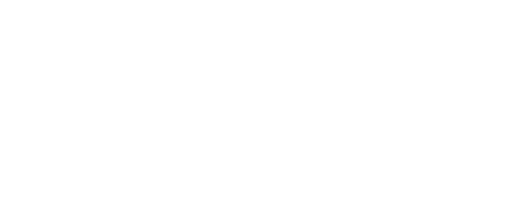 BID - Newcastle under Lyme