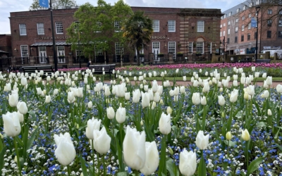 Newcastle-under-Lyme Enter Regional Heart of England in Bloom 2024 Competition