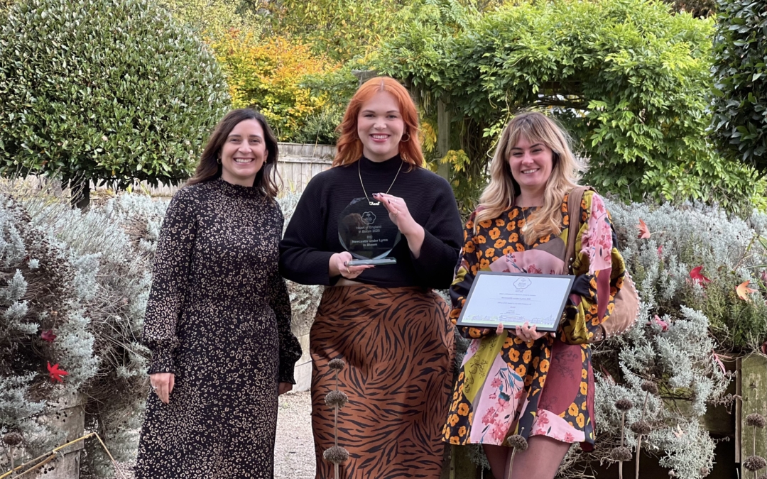 Newcastle-under-Lyme BID Brings Home Gold from Heart of England in Bloom Awards