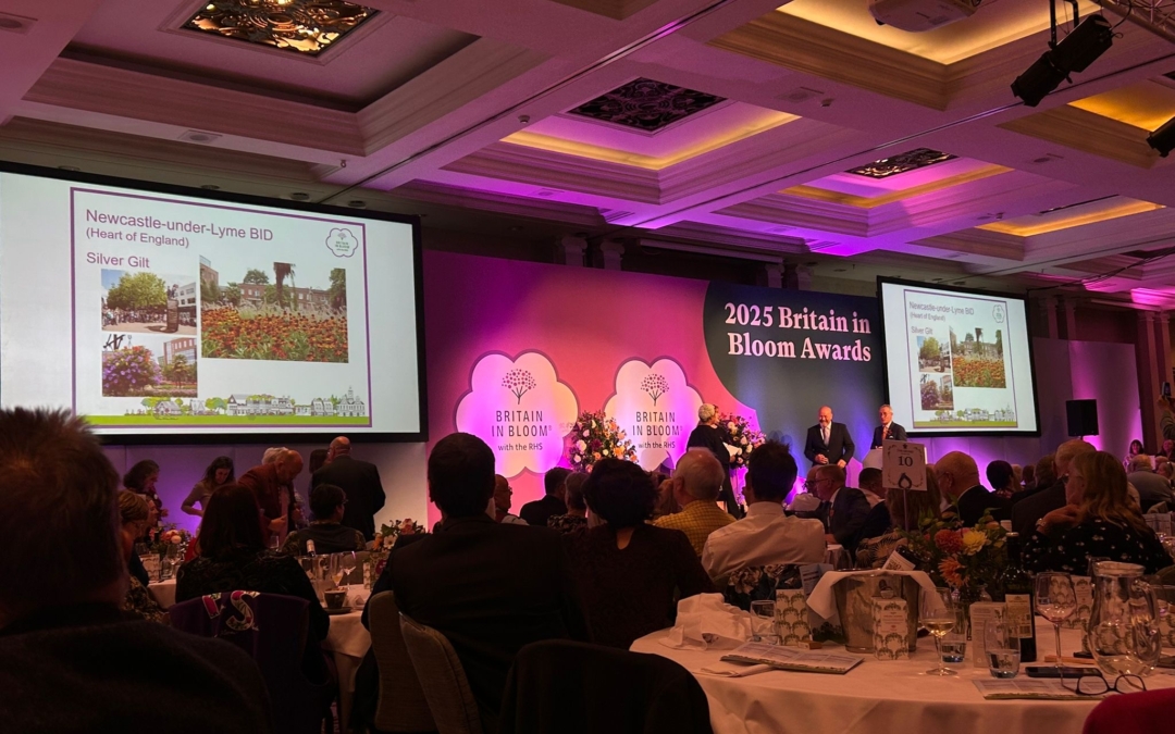 Creativity and Community Spirit Earn Newcastle-under-Lyme National Recognition