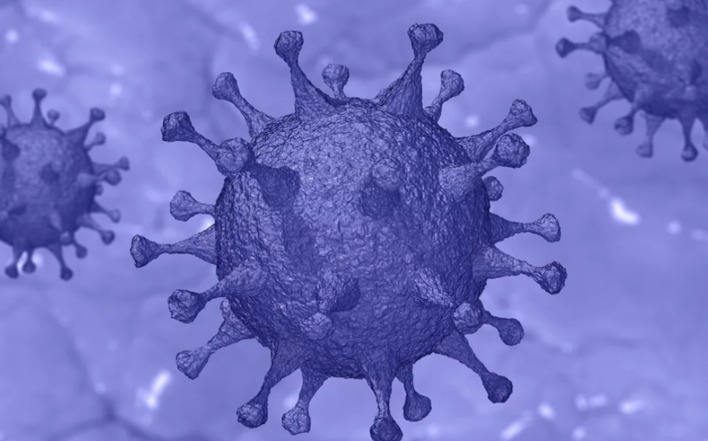 Latest Government Advice – including face coverings