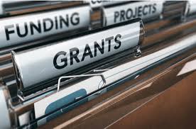 Local Restrictions Support Grants